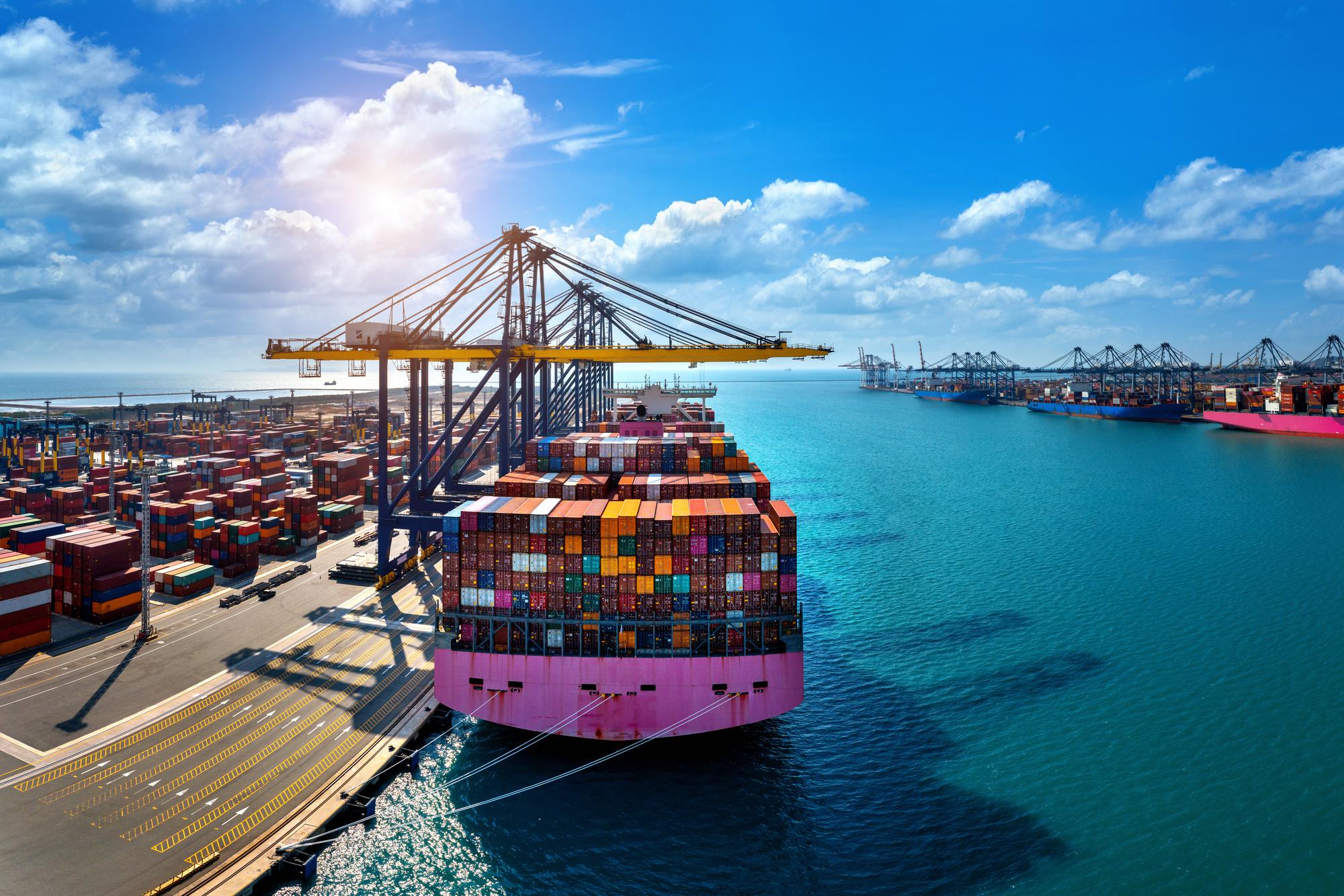 Expert International Moving Services